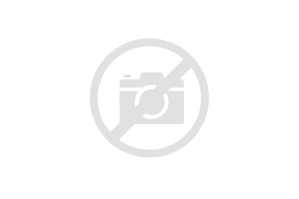 Узел сканирования JC96-04236A | 002N02698 | 002N02449 для Samsung SCX-4321/ 4521F/ 4725FN