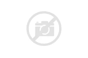 Лоток для бумаг F5S28-40010 для HP DeskJet 2130/ 2131/ 2132